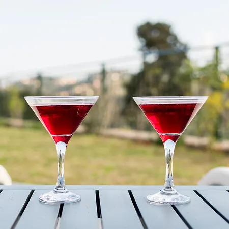 ヴィラ Castelia Luxury